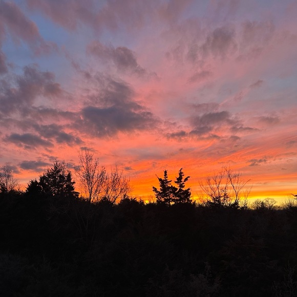 Meet your Posher, Wndy - Picture 2 of 3